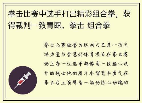 拳击比赛中选手打出精彩组合拳，获得裁判一致青睐，拳击 组合拳