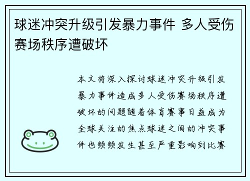 球迷冲突升级引发暴力事件 多人受伤赛场秩序遭破坏